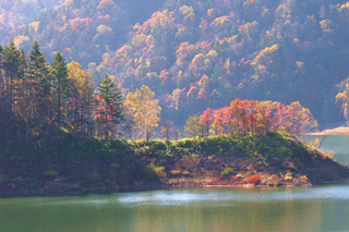 北海道中部：定山渓豊平峡ダムの紅葉