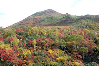 北海道西部：ニセコアンヌプリの紅葉