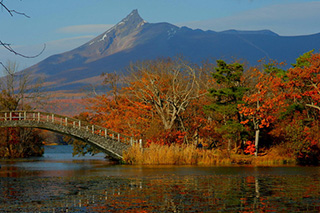北海道西部：大沼公園の紅葉