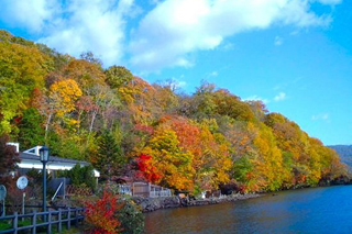 北海道中部：支笏湖の紅葉