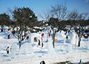 2月　大沼函館雪と氷の祭典