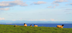 北海道の航路船