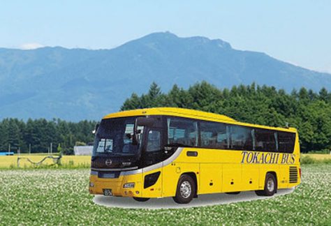bus_tokachibus