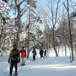 冬の知床五湖は認定されたガイドツアー（有料）による限定利用です。
