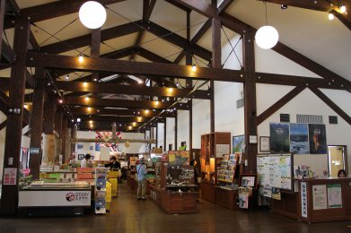 知床観光情報 | 悠悠北海道公式サイト