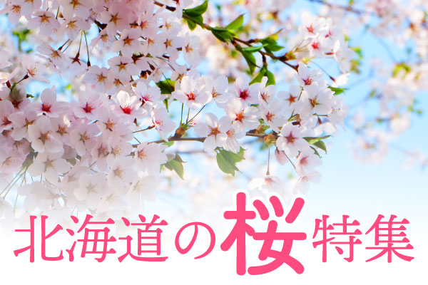 北海道の桜特集