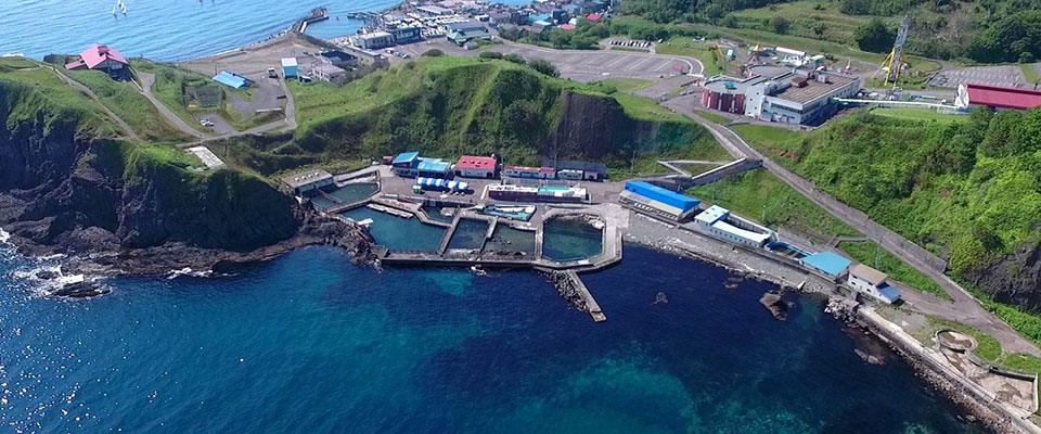 おたる水族館